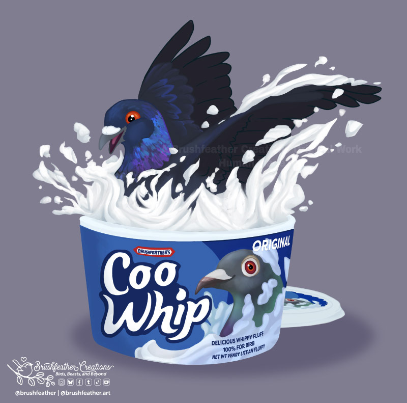 A dark iridescent pigeon jumping and splashing into a tub of 